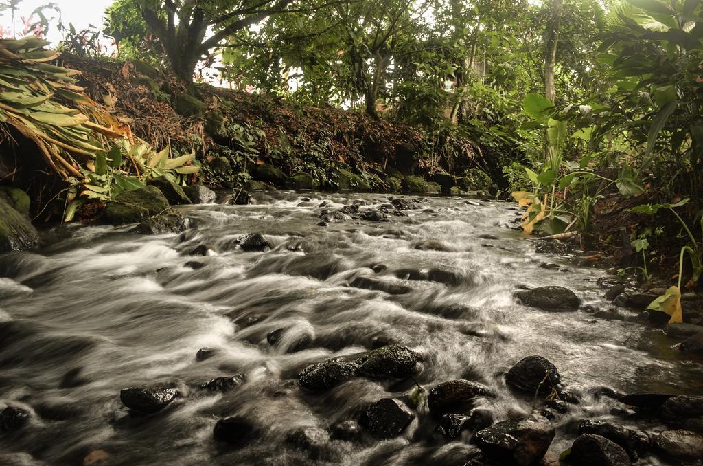 Hostel Rio Danta La Fortuna 外观 照片