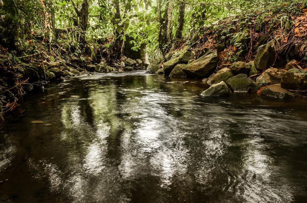 Hostel Rio Danta La Fortuna 外观 照片